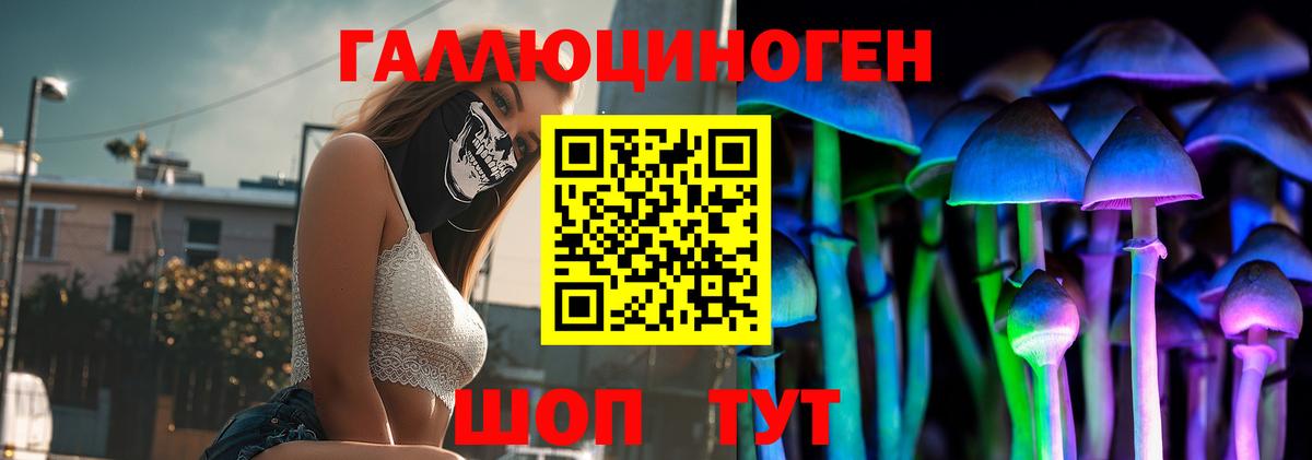 Прокопьевск  Псилоцибиновые грибы Psilocybe  Вход с VPN 